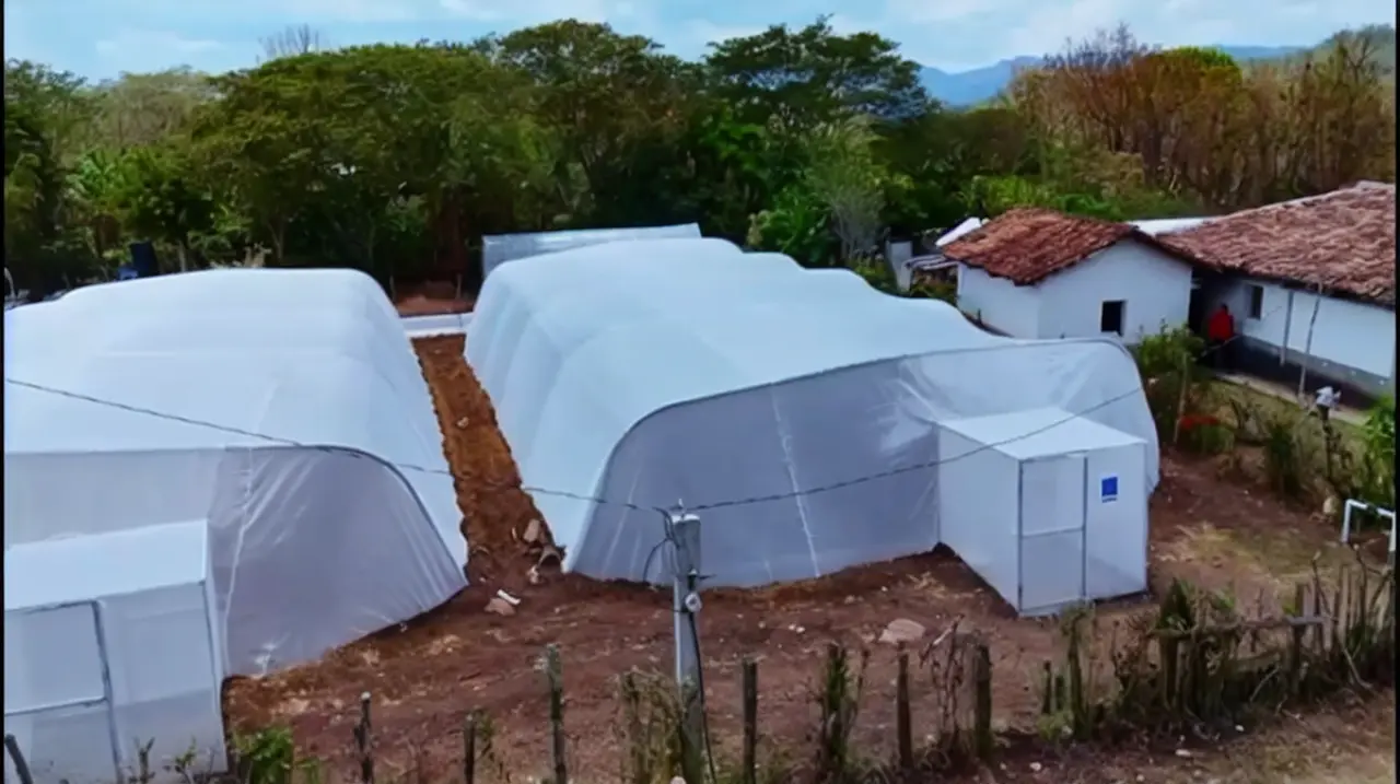 Honduras descarta importación de frijol y proyecta nuevas cosechas en 45 días pese a la sequía