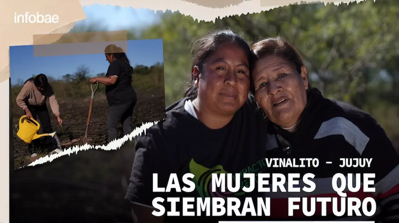 Mujeres del monte: cómo una cooperativa en Jujuy convierte la restauración del bosque en una salida económica