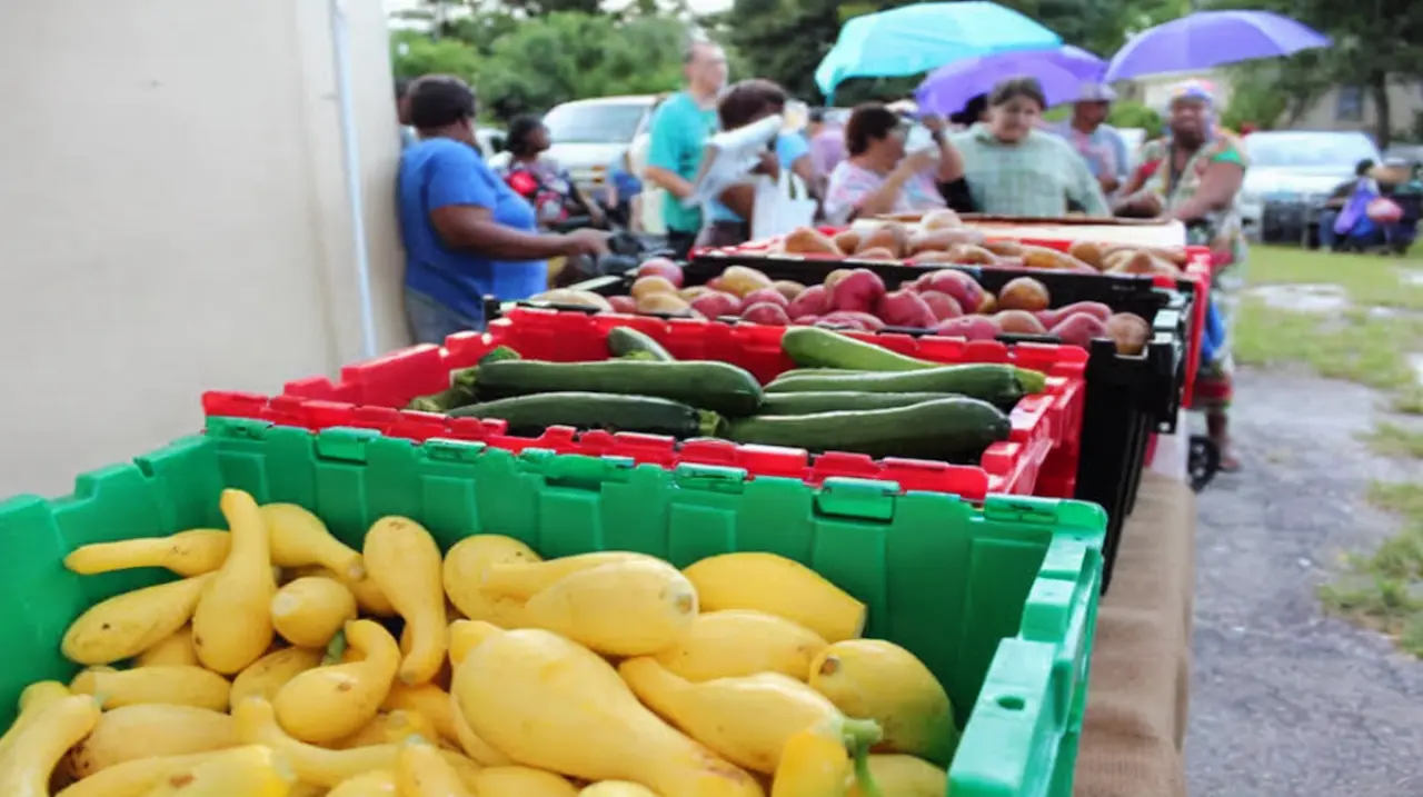 Dónde entregan comida gratis en Florida esta semana: calendario y bolsas de alimentos frescos hoy