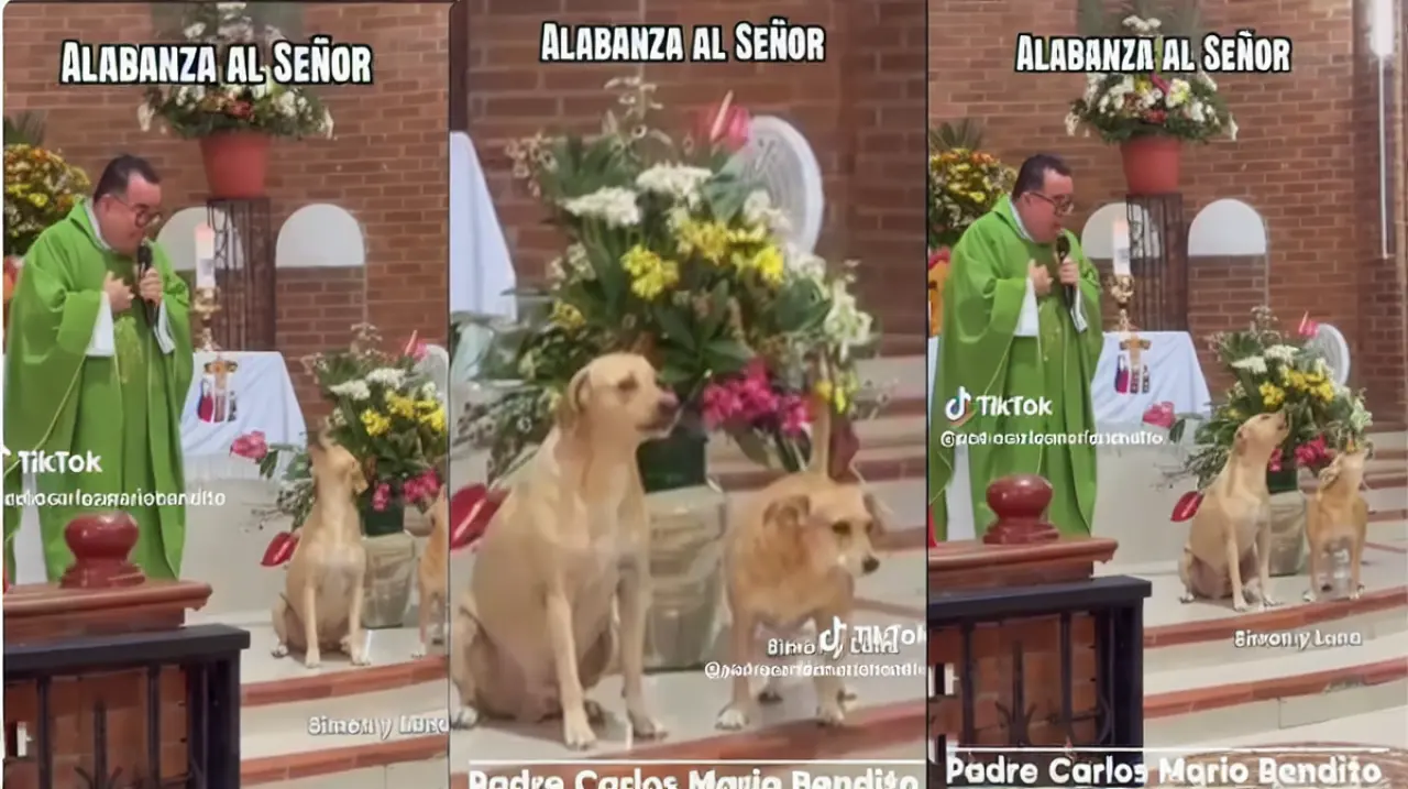 Simón y Luna, los perros que se volvieron protagonistas de una misa en Villavicencio