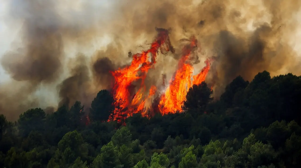 Madrid avanza en los realojos mientras siguen activos los incendios en León, Zamora y Castellón