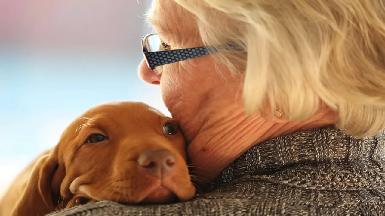 Las mascotas ayudan a bajar el dolor, el estrés y la soledad: qué dicen los estudios