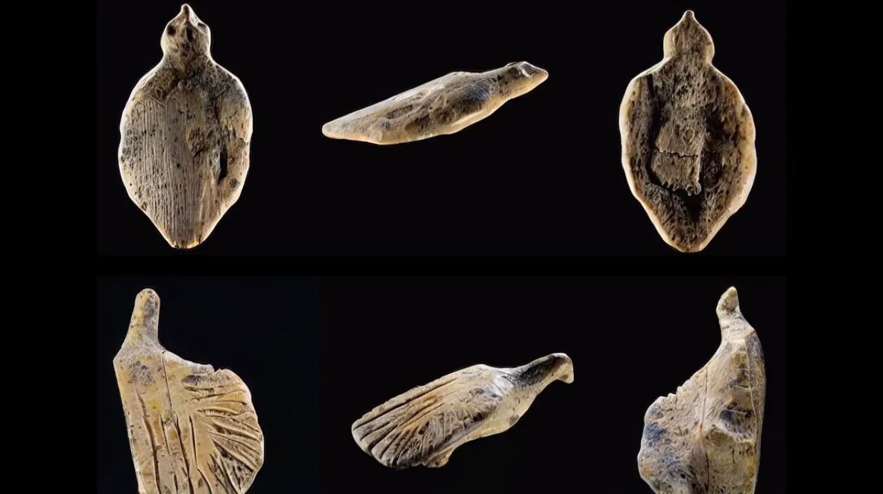 Hallan en Alemania dos aves talladas en marfil de mamut con 40.000 años de antigüedad