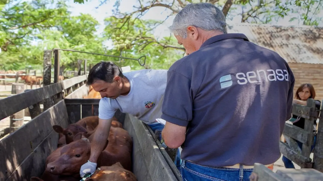 La SRA destacó la baja del costo de la vacuna antiaftosa y la mejora del poder de compra ganadero