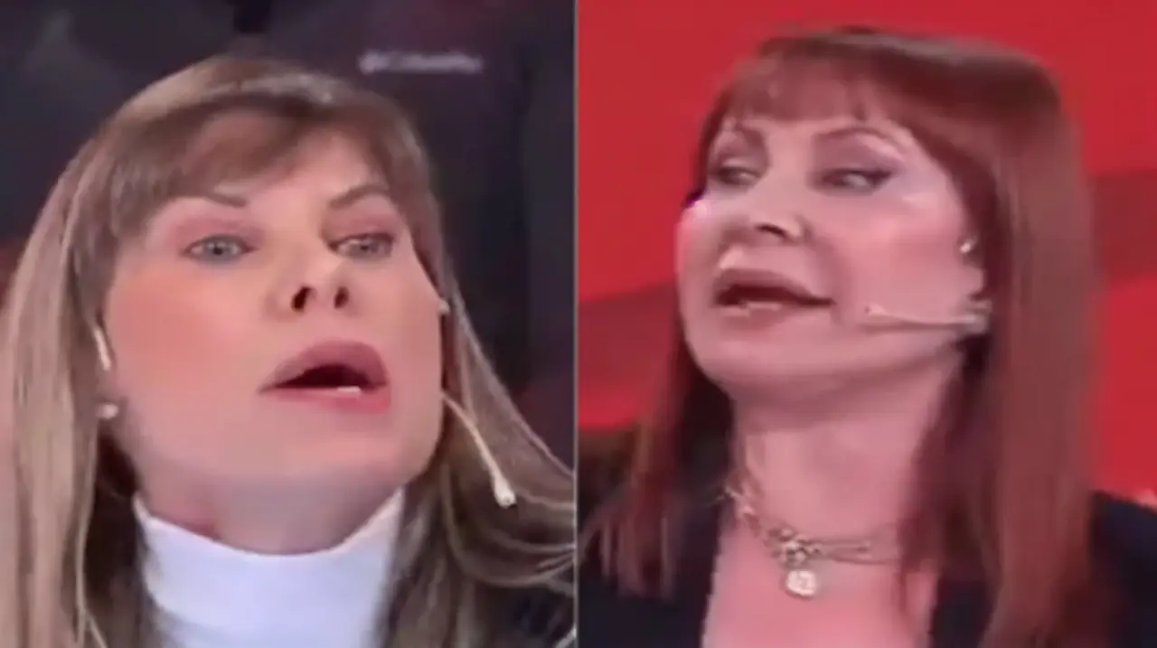 Karen Reichardt y Matilda Blanco protagonizaron un duro cruce televisivo por un proyecto sobre perros