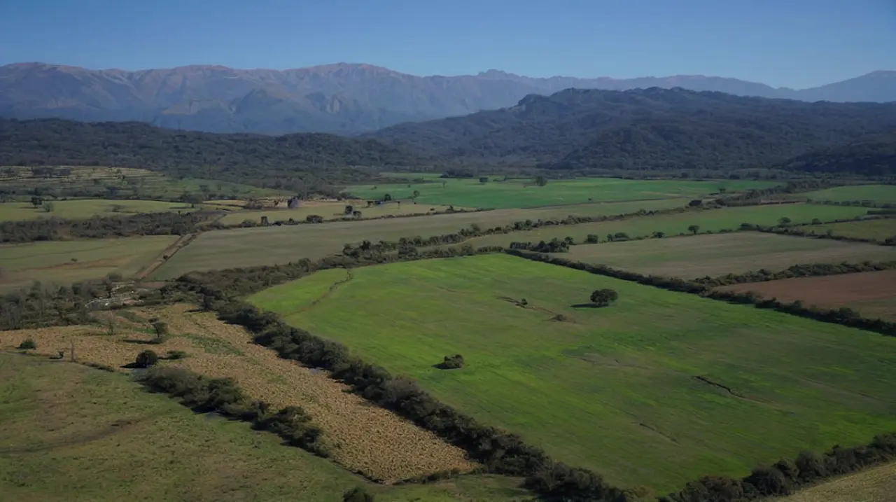 Por qué el agro del NOA y el NEA quedó por debajo de su potencial