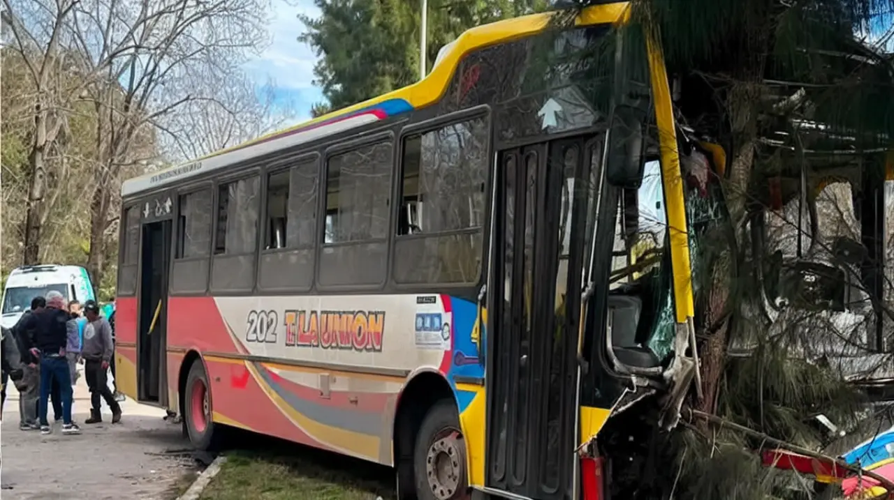 Berisso: un colectivo chocó con un auto, terminó contra un árbol y dejó unos 20 heridos
