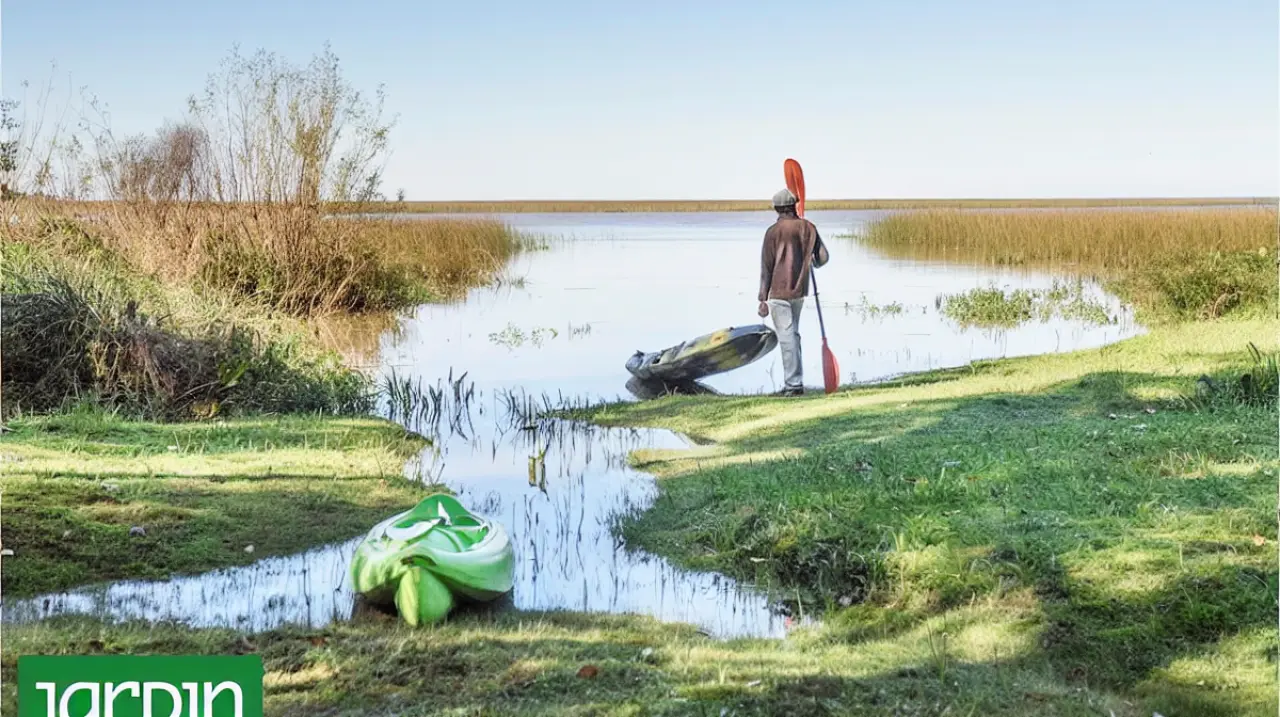 Isla Chaná: la reserva privada que transformó una isla abandonada del Delta en un refugio natural