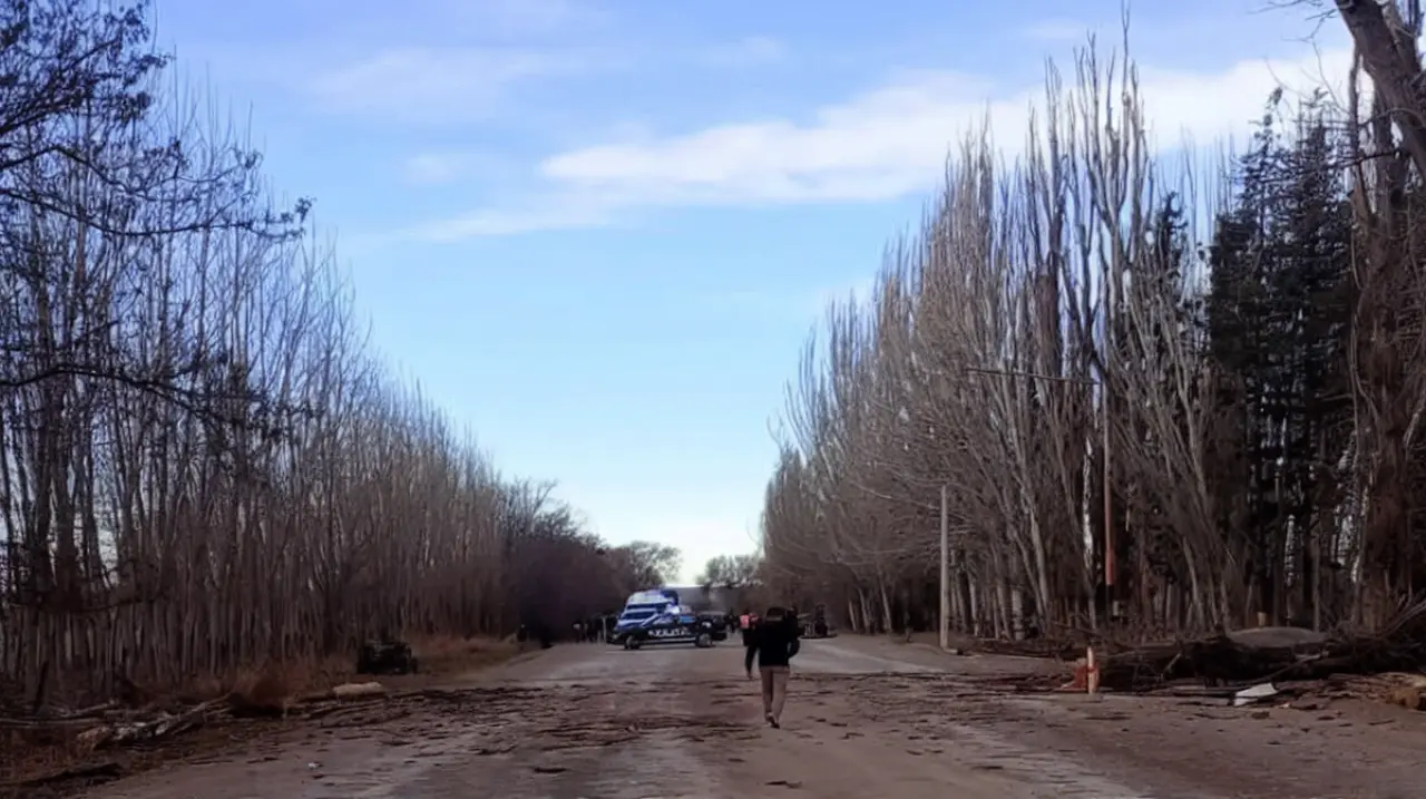 Un árbol cayó sobre una camioneta en Mendoza y murieron los padres de una adolescente que cumplía 15 años