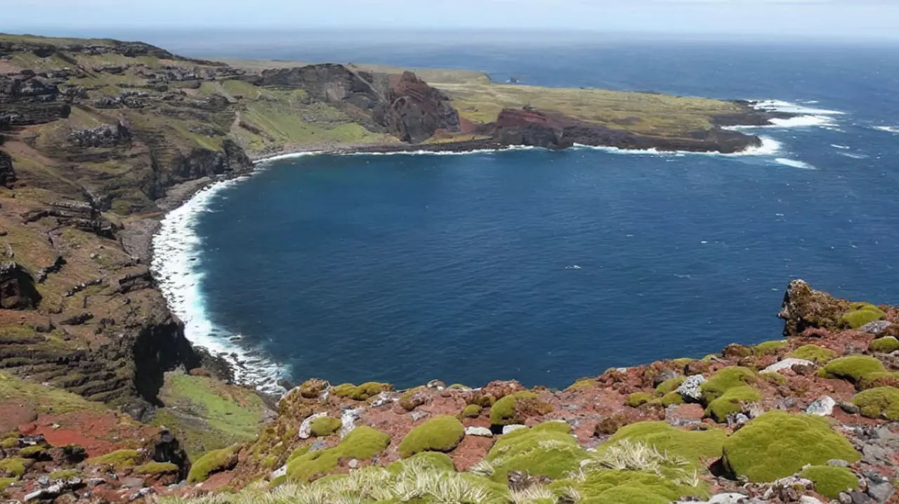 Una isla subantártica intenta deshacer 77 años de desequilibrio ecológico