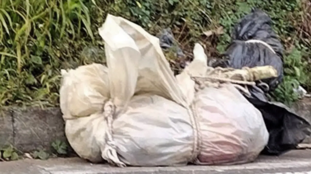 Autoridades de Pereira investigan hallazgo de un cuerpo amarrado en la variante Condina