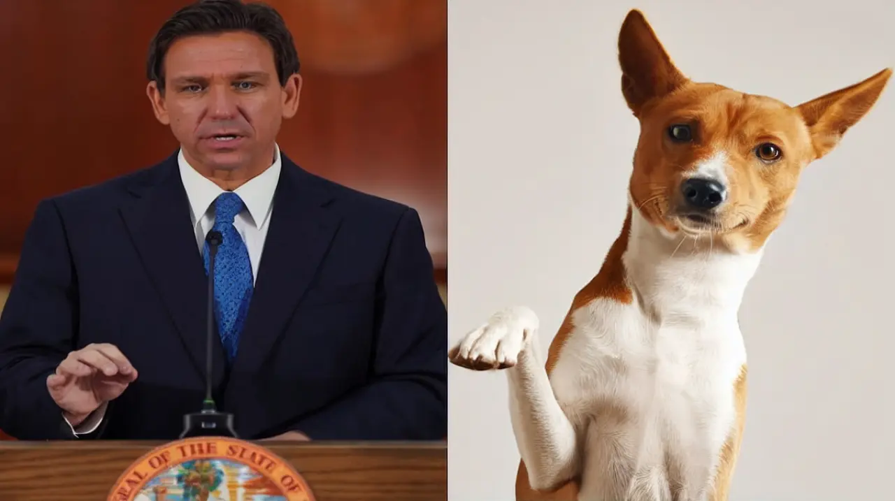 Florida endurece reglas para la venta de mascotas y amplía el registro público por crueldad animal