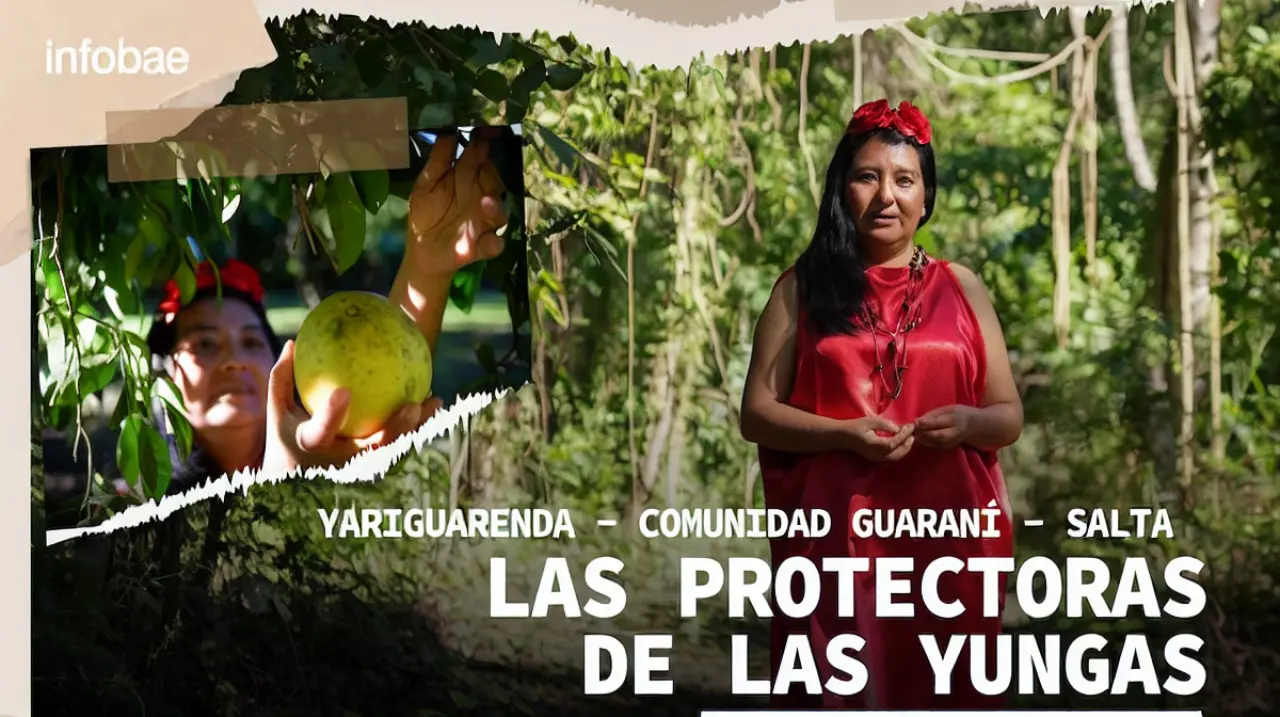 Yariguarenda: mujeres guaraníes que convierten la conservación de las Yungas en una forma de vida