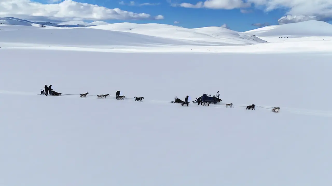 Pino Hachado, nieve y huskies: la experiencia patagónica que se vive al mando de un trineo