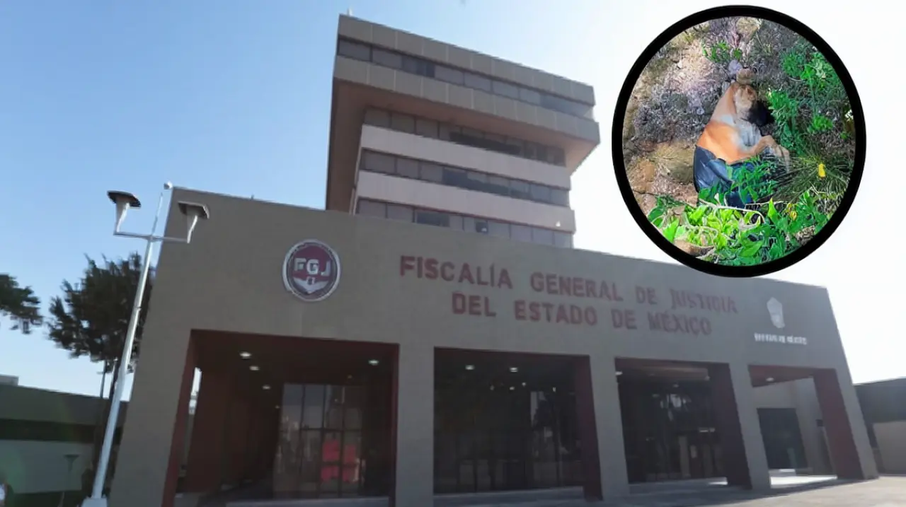 Fiscalía del Edomex investiga hallazgo de entre 11 y 12 perros muertos en Naucalpan