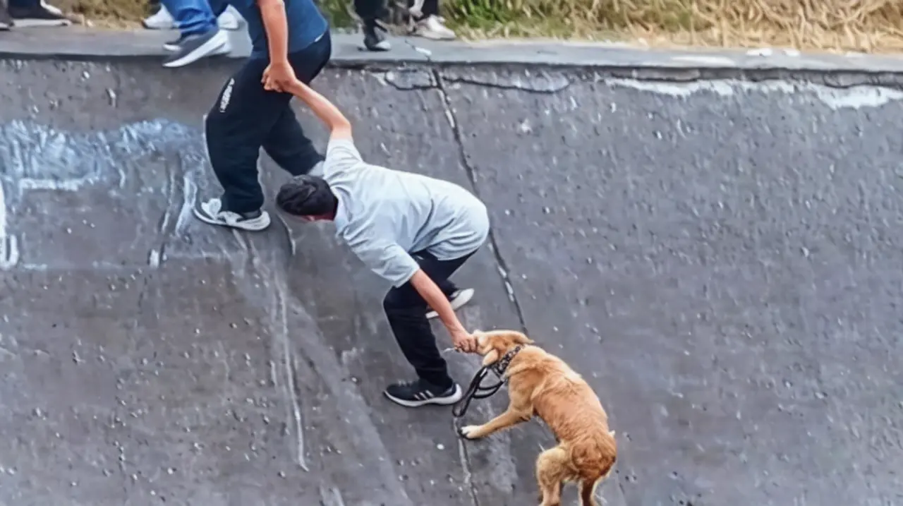 Vecinos hicieron una cadena humana para rescatar a un perro atrapado en un canal en Bogotá