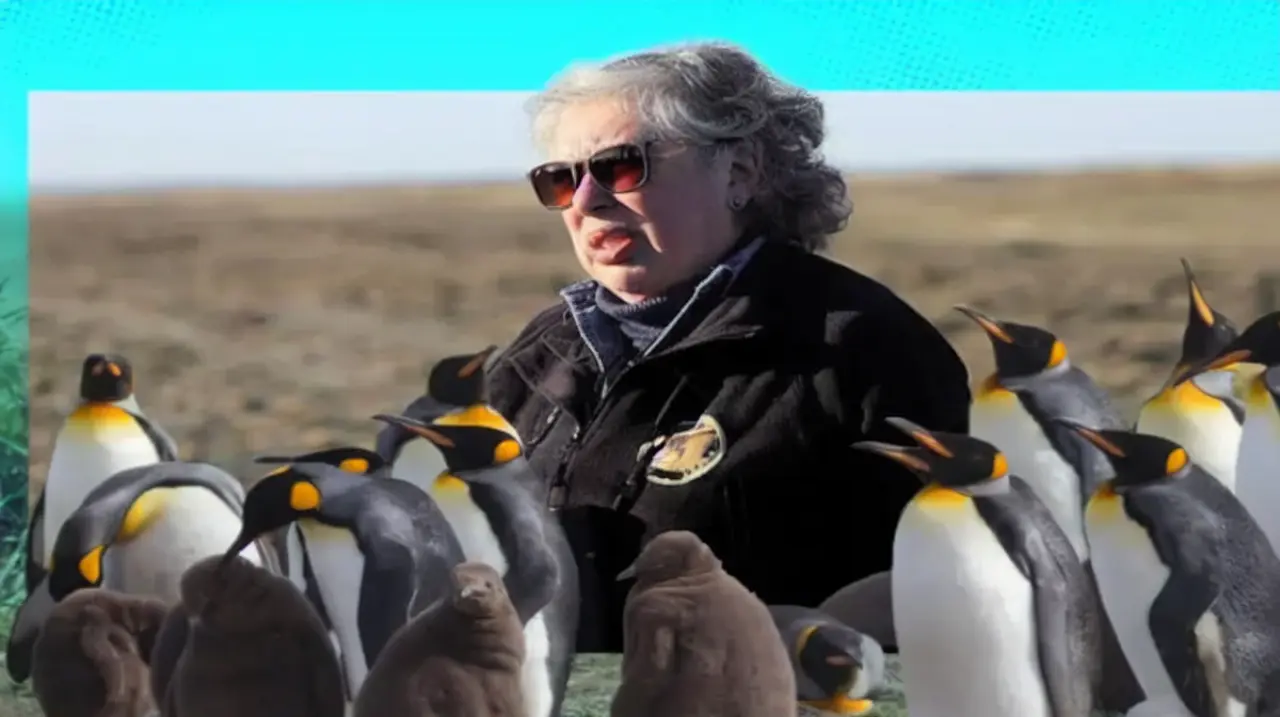 La profesora que dejó su vida en el aula para proteger la colonia de pingüinos rey de Bahía Inútil