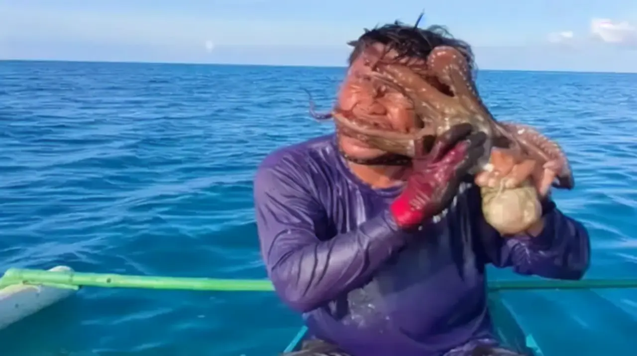 Un pulpo se aferró al rostro de un pescador en Filipinas y el video se volvió viral