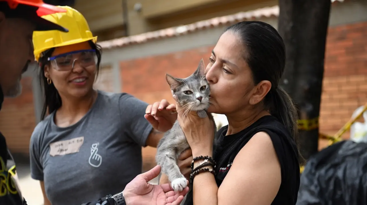 Alertan por abandono de mascotas en Cali tras el terremoto
