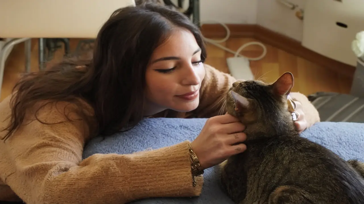 Por qué los gatos eligen a una persona favorita y cómo se consolida ese vínculo