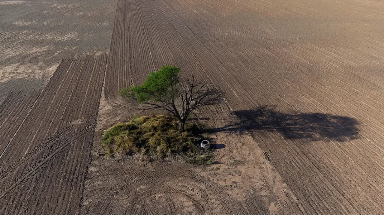 Chaco: un estudio científico detecta seis maniobras que facilitaron la deforestación durante 15 años