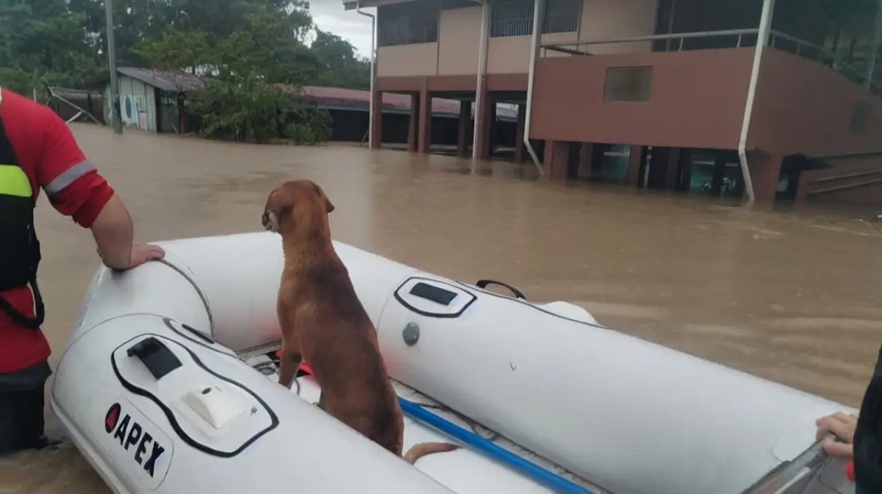 Rescates y operativos se intensifican por la Onda Tropical 32 en Costa Rica