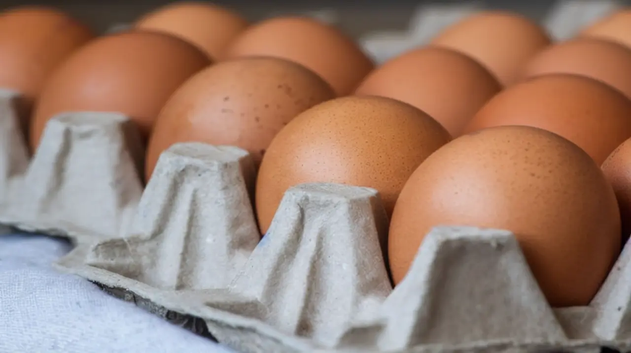 Nueva York recibirá casi cinco millones de huevos para bancos de alimentos tras un acuerdo por presunta fijación de precios