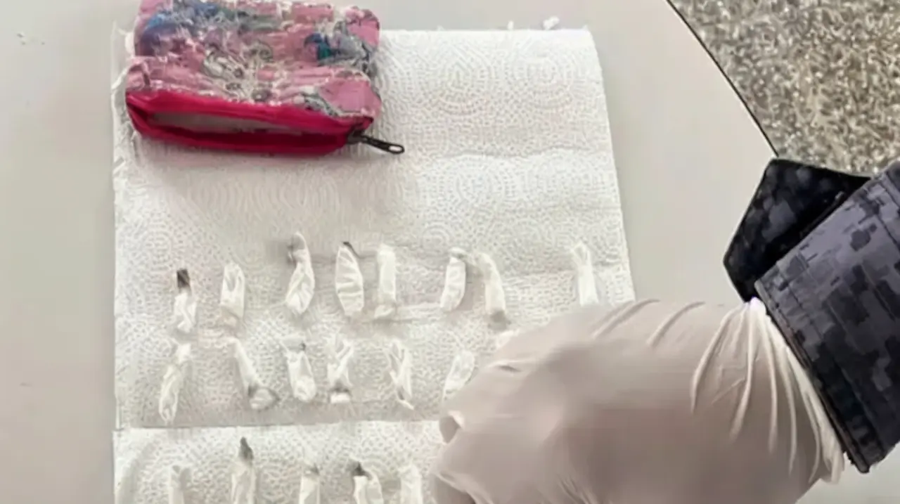 Hallan 71 envoltorios de cocaína en un jardín de Córdoba y detienen a la madre de un nene de dos años
