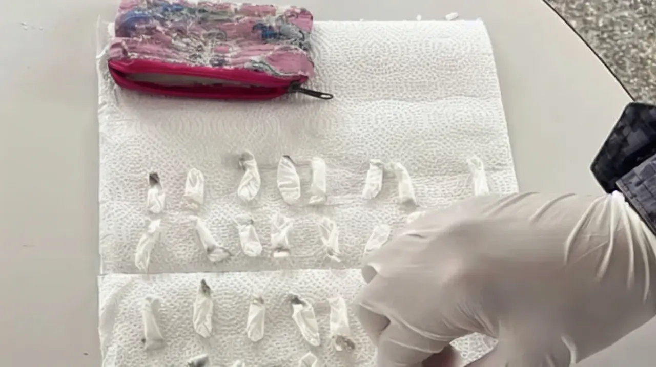 Detuvieron en Córdoba a una mujer tras hallar 71 dosis de cocaína en el monedero de su hijo en un jardín