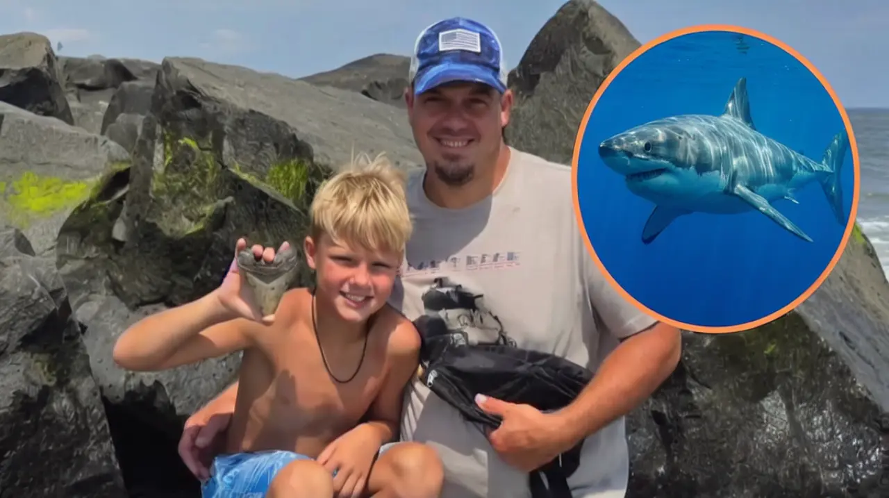 Un niño halló en una playa de Nueva Jersey un diente fosilizado de megalodón de más de 3,6 millones de años