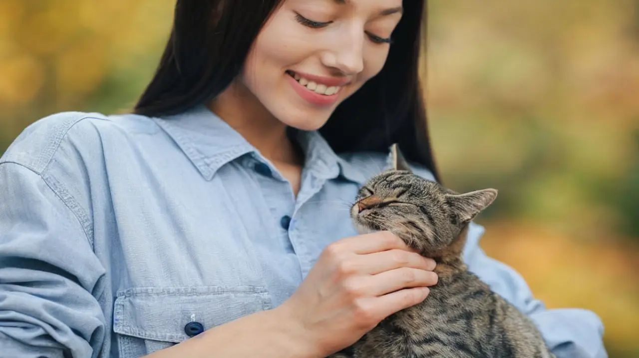 Por qué un gato elige a una persona favorita, según un veterinario