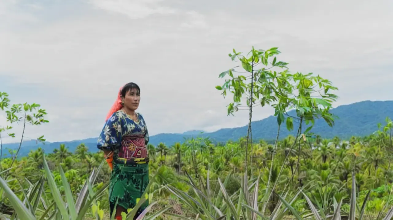 Pueblos indígenas de Mesoamérica empujan en Panamá una ruta propia para crecer sin perder territorio ni cultura
