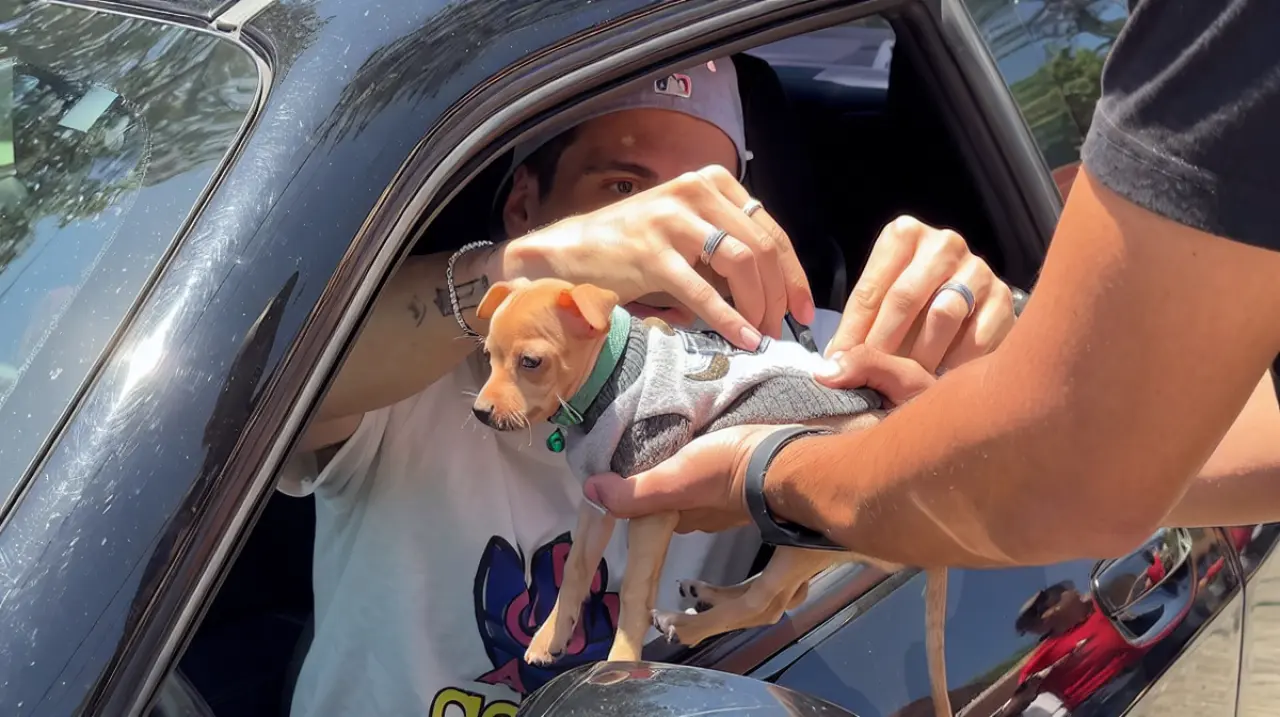 Diego Campillo causa revuelo tras autografiar a un perro Chihuahua en Verde Valle