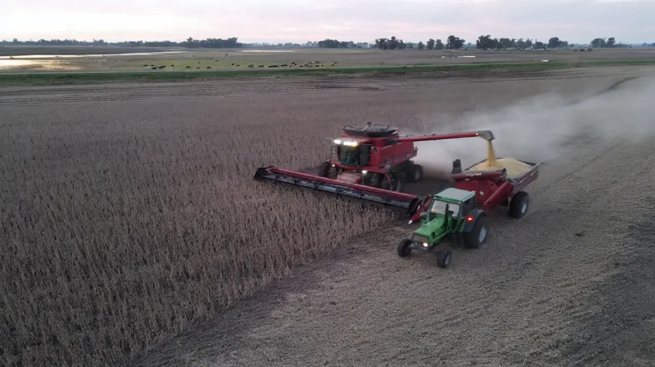 El verdadero milagro del chacarero argentino es seguir produciendo