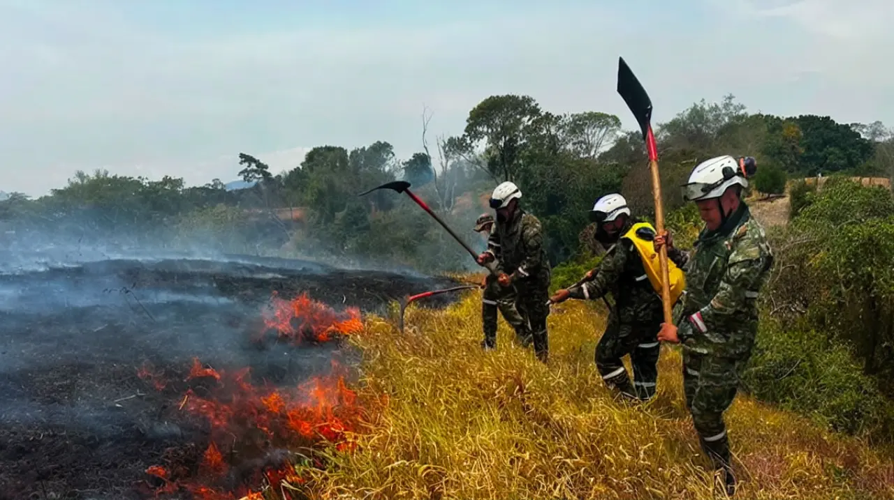 Ideam alerta por alto riesgo de incendios forestales en varias regiones del país