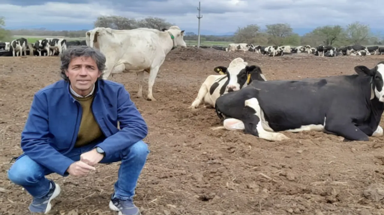 Un modelo productivo diversificado en 1100 hectáreas que combina leche, carne, caña y hortalizas