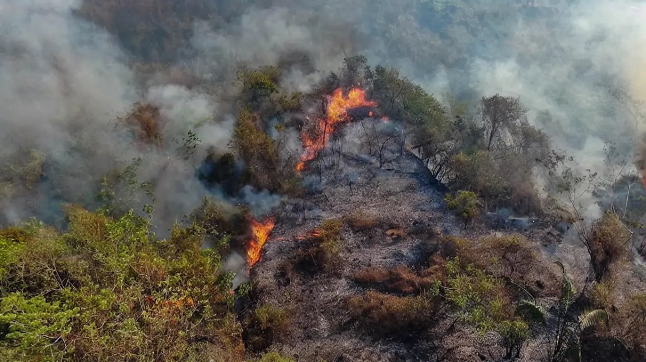 Tolima combate cuatro incendios forestales con más de 300 personas en terreno