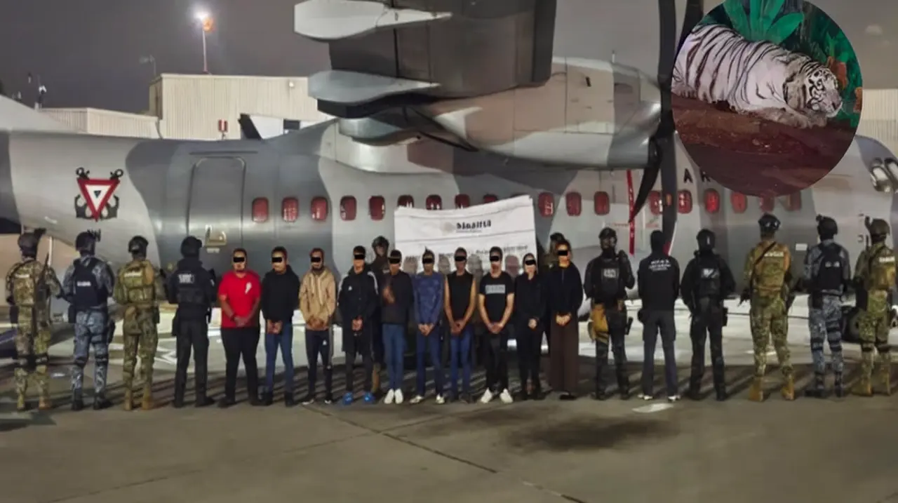 Detienen a 20 presuntos integrantes del CJNG en operativo simultáneo en Hidalgo, Jalisco y Michoacán