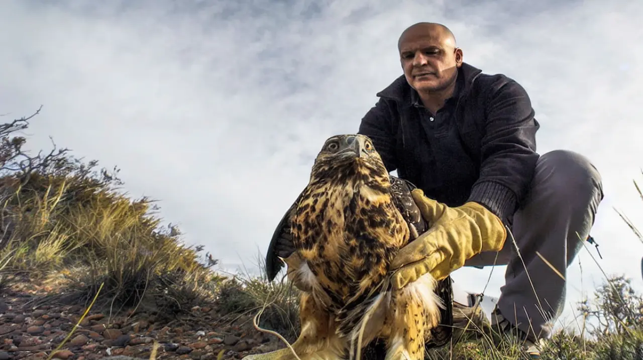 Víctor Fratto: ciencia y rescate para pensar la fauna sin romantizarla
