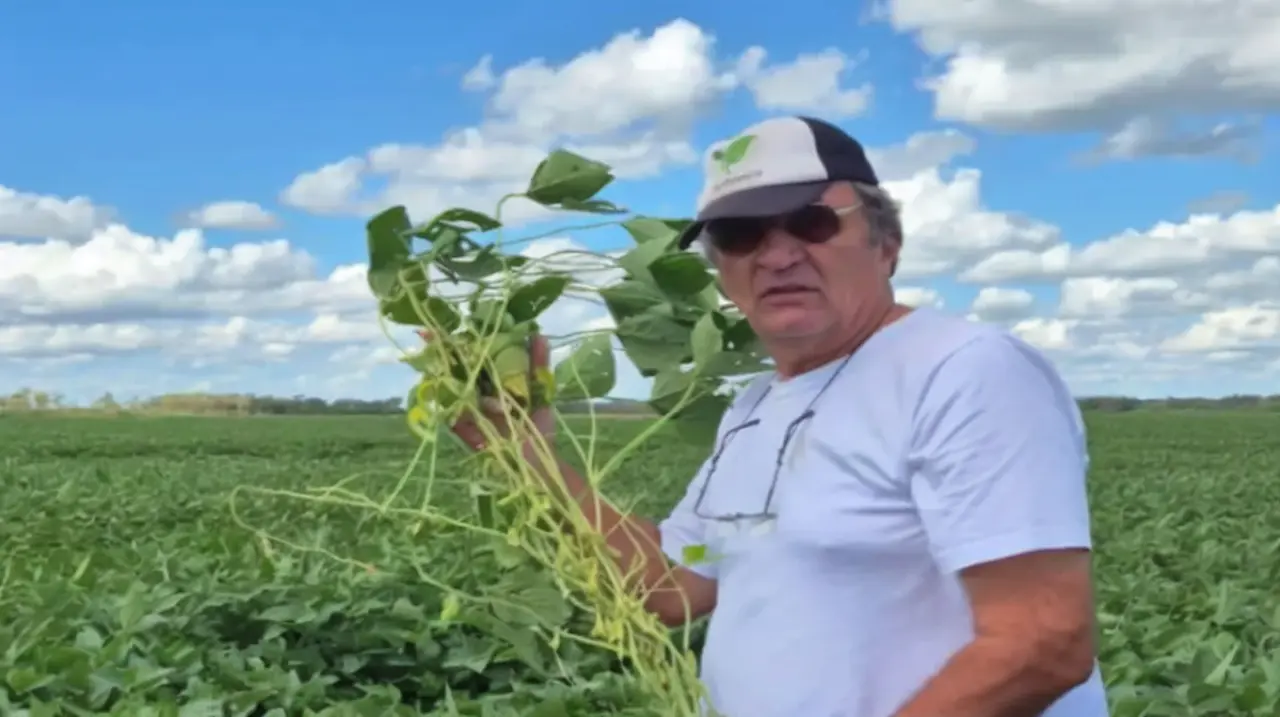 Una agropecuaria de la familia Capitanich acumula más de $7512 millones de deuda y quedó en la peor categoría del BCRA