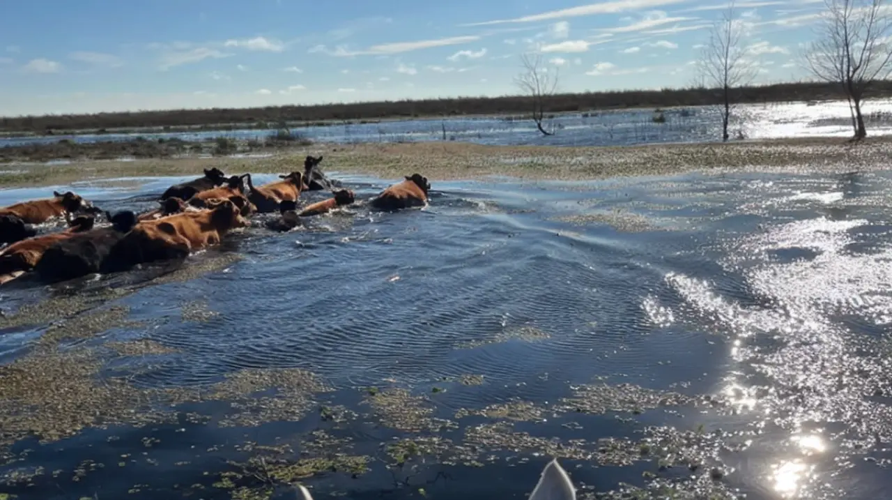 El Niño eleva los costos del campo y reabre el debate por los impuestos