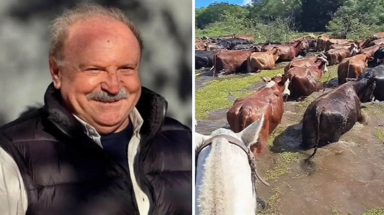 La crecida del Paraná obliga a evacuar ganado de las islas frente a Reconquista