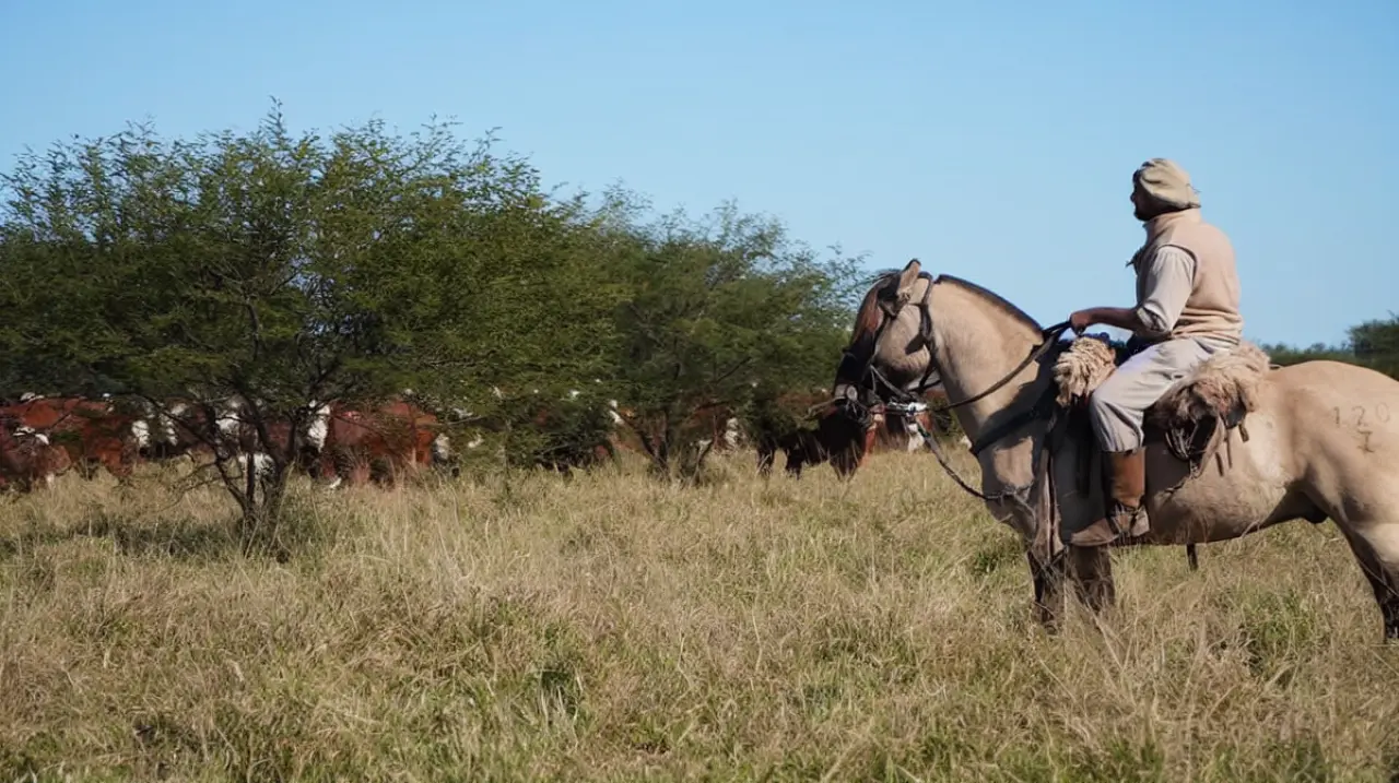 Juramento compró un campo de 10.800 hectáreas en Salta por US$22,8 millones