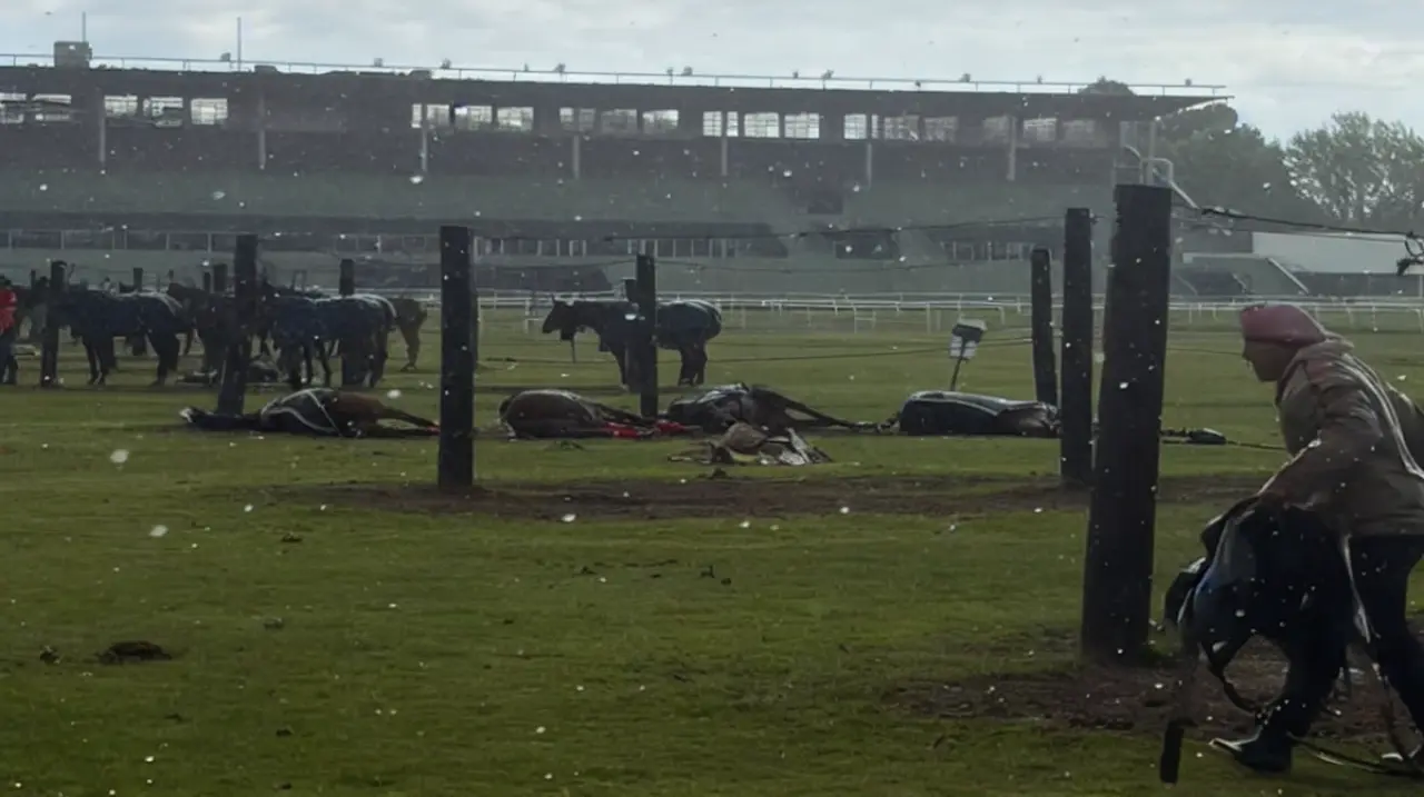 Un rayo mató a cuatro yeguas de polo en el Jockey Club de San Isidro