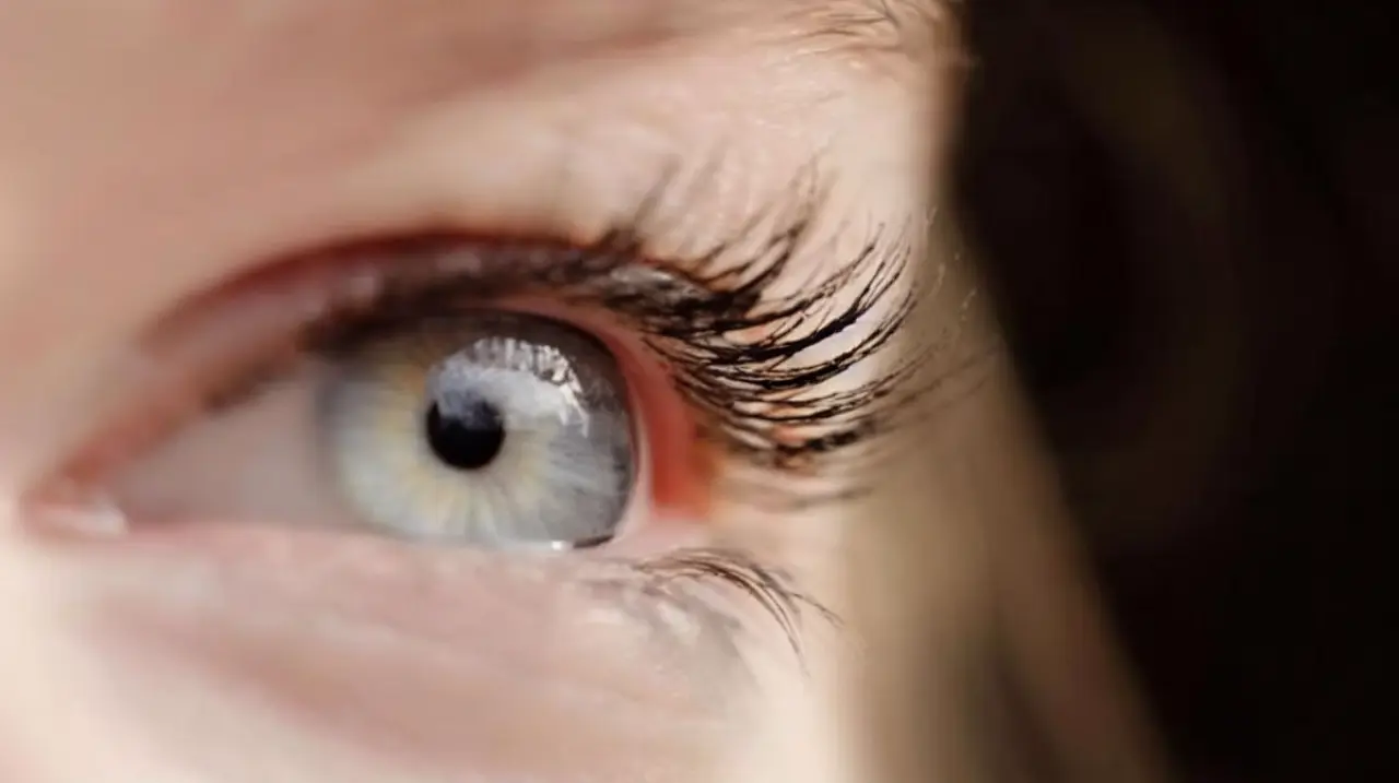 El cerebro completa lo que los ojos no alcanzan a registrar