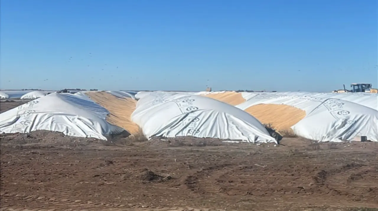 Diputados dio media sanción al proyecto que endurece las penas por daños en el campo