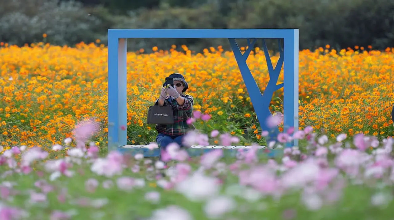 Un marco azul que cambió la escena del parque