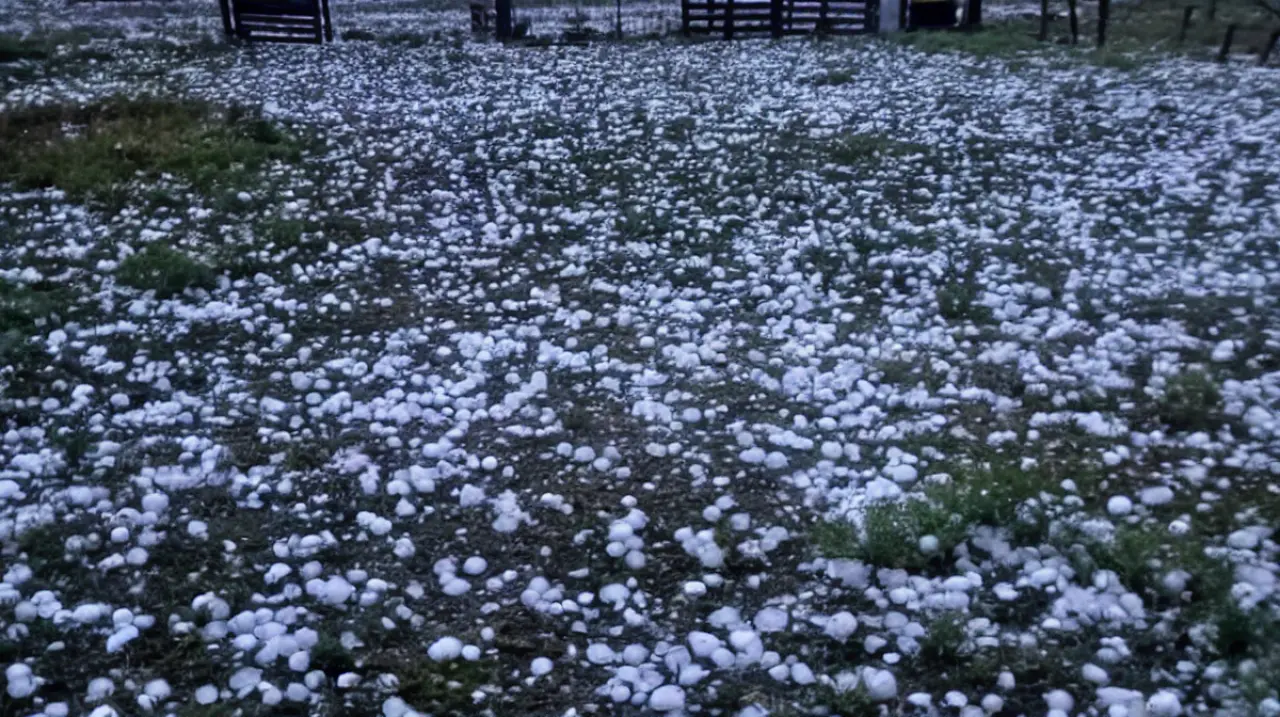 Una intensa granizada mató animales y provocó graves daños en el norte de Santa Fe