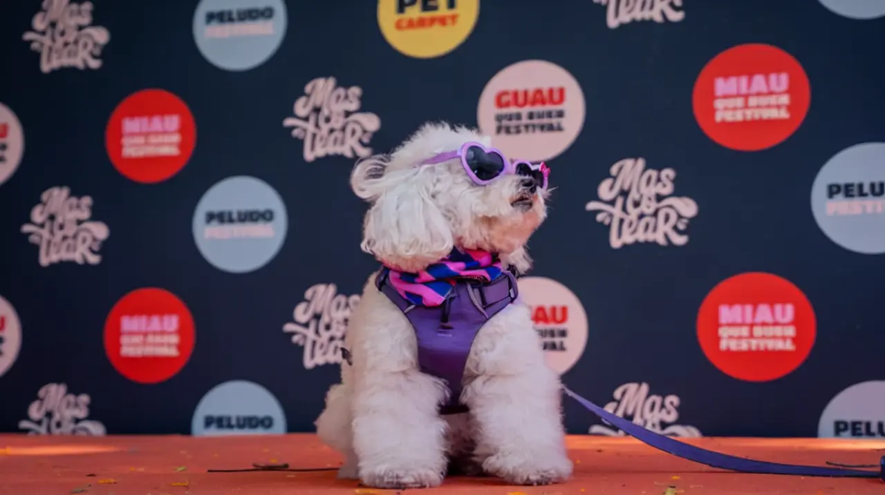 Mascotear 2026: un festival gratuito con desfiles, adopciones y actividades para mascotas