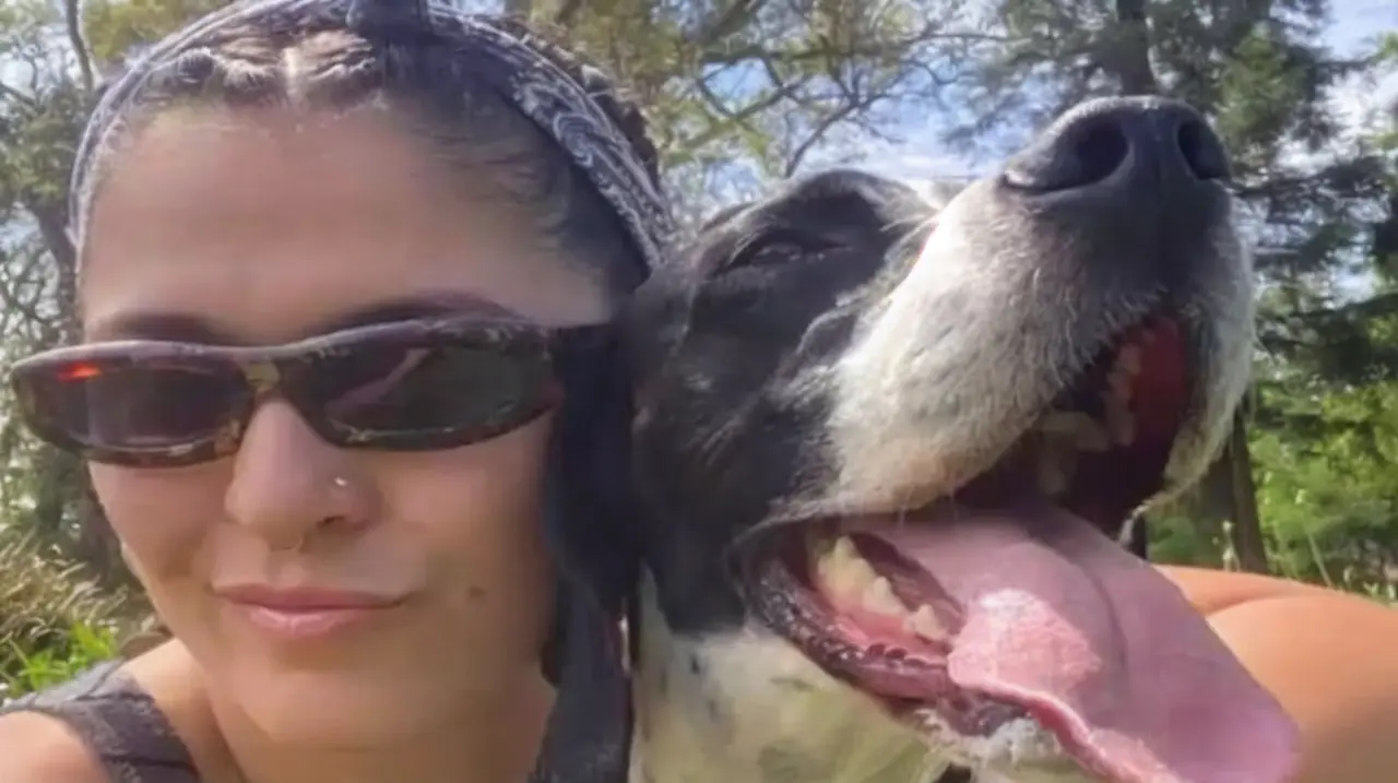 Investigan la intoxicación de dos perros tras pasear por una plaza de Olivos